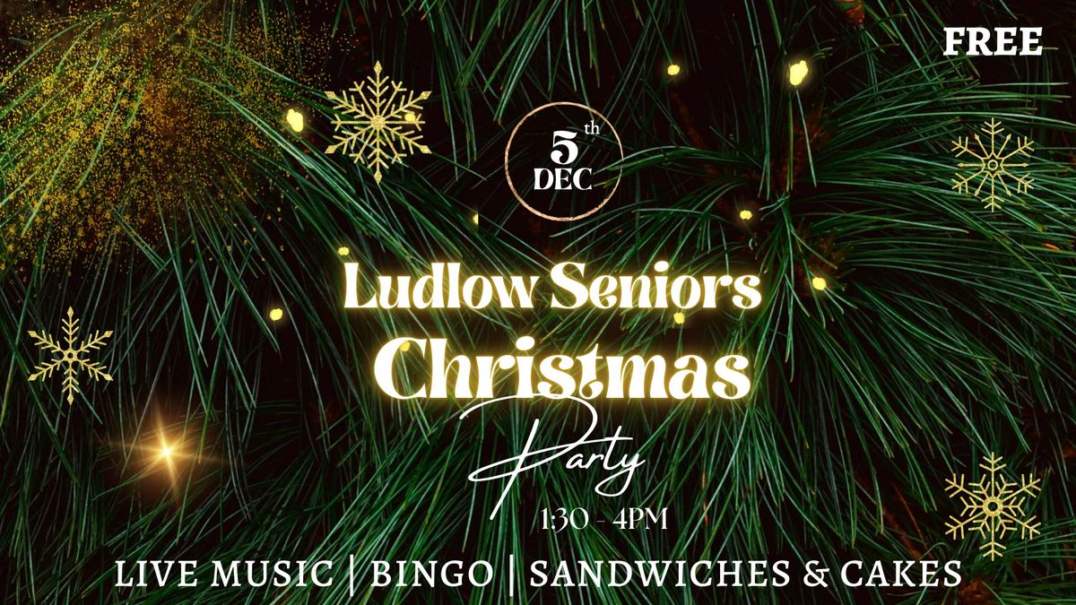 Ludlow Seniors Christmas Party