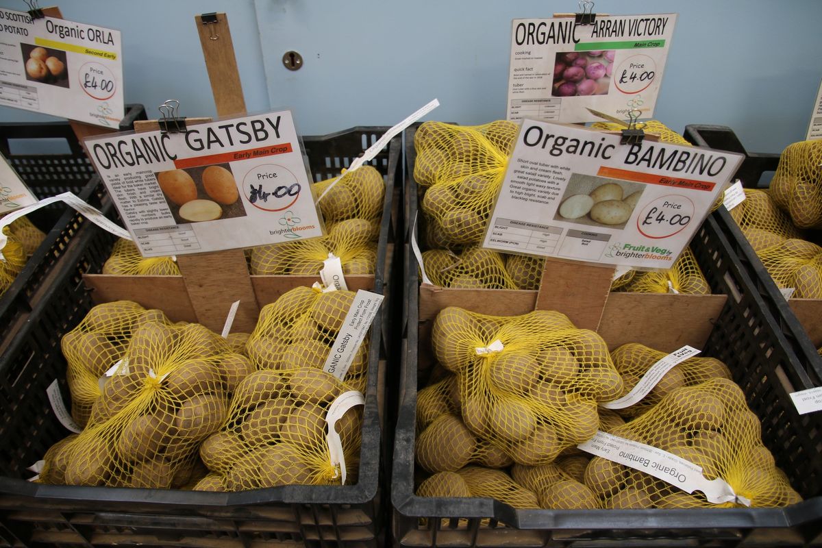 Mold Potato Day is here again!