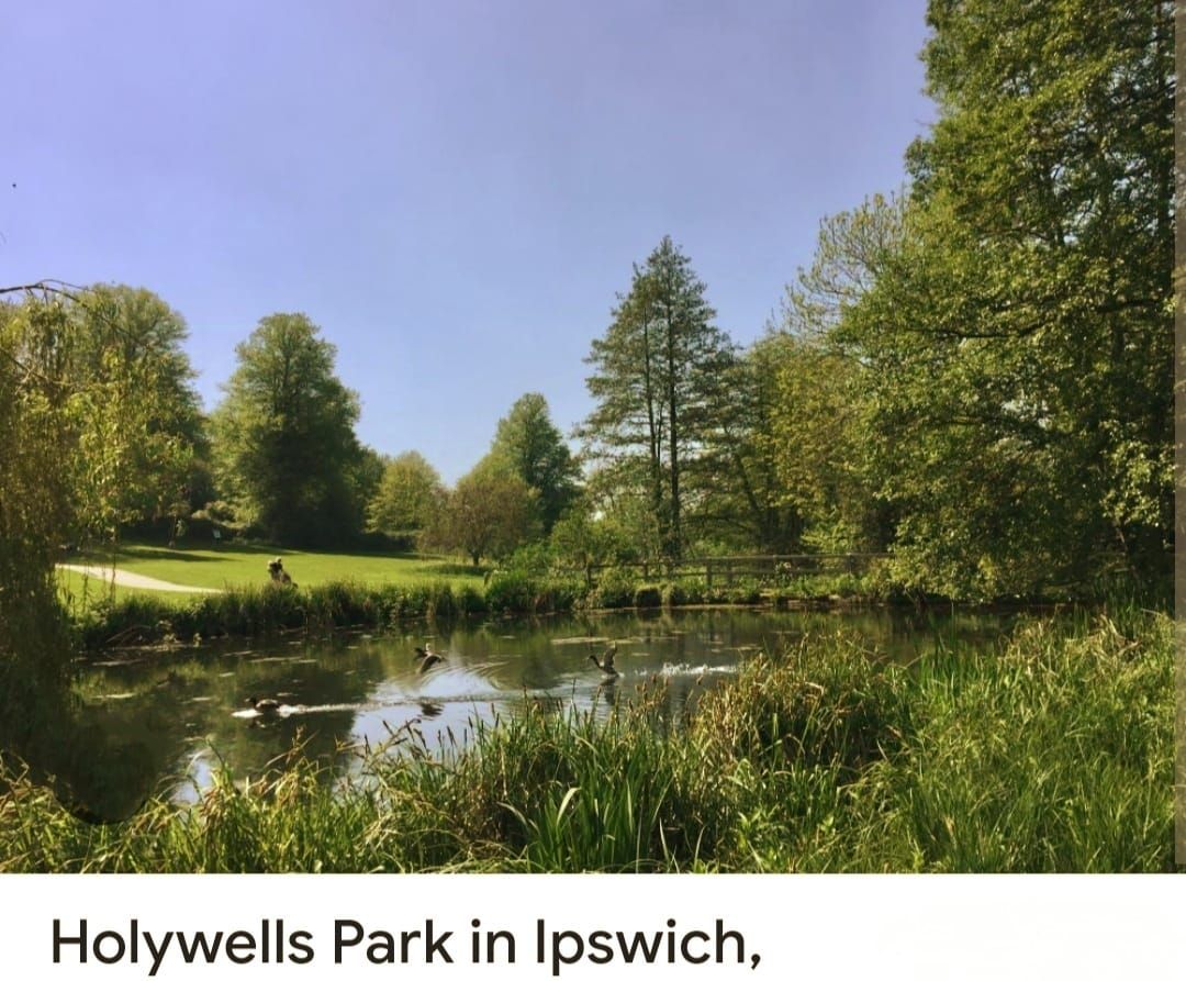 Hollywells Park walk & live Music after at W. Boutique - Ipswich Waterfront 