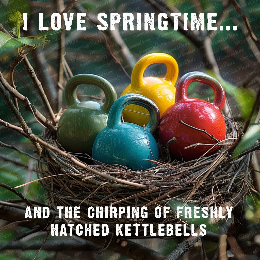 Spring Kettlebell Introductory Class