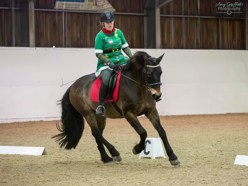 Christmas Pick Your Own Test & Time Dressage Winter Series