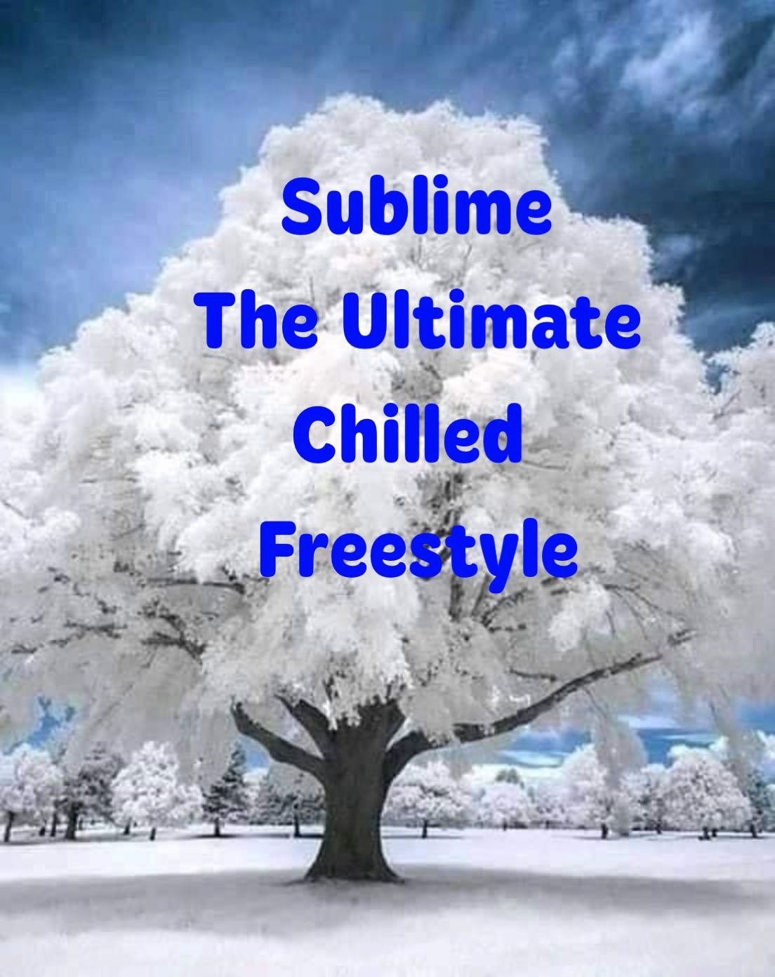 Enerjive Sublime Freestyle 