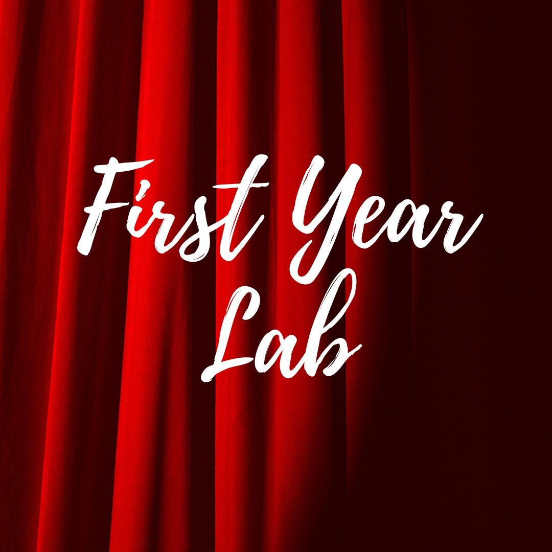 First Year Lab 2024 Performance