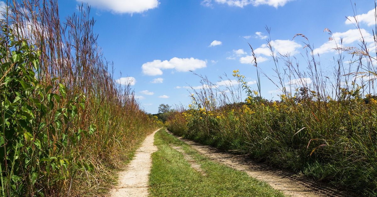 Nature Hike