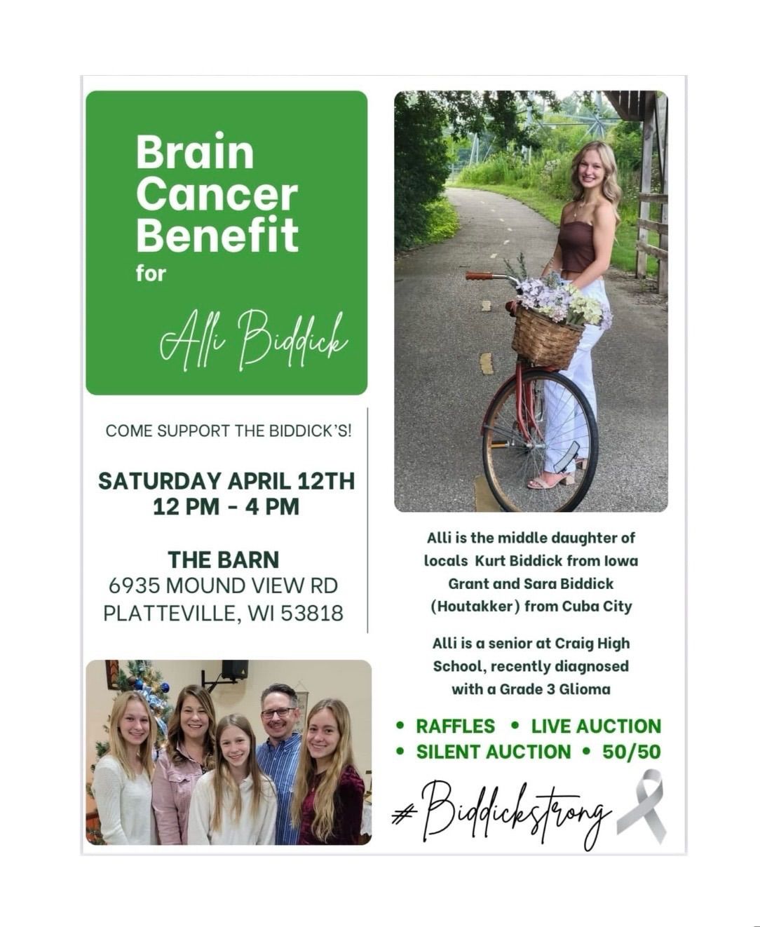 Benefit for Allison