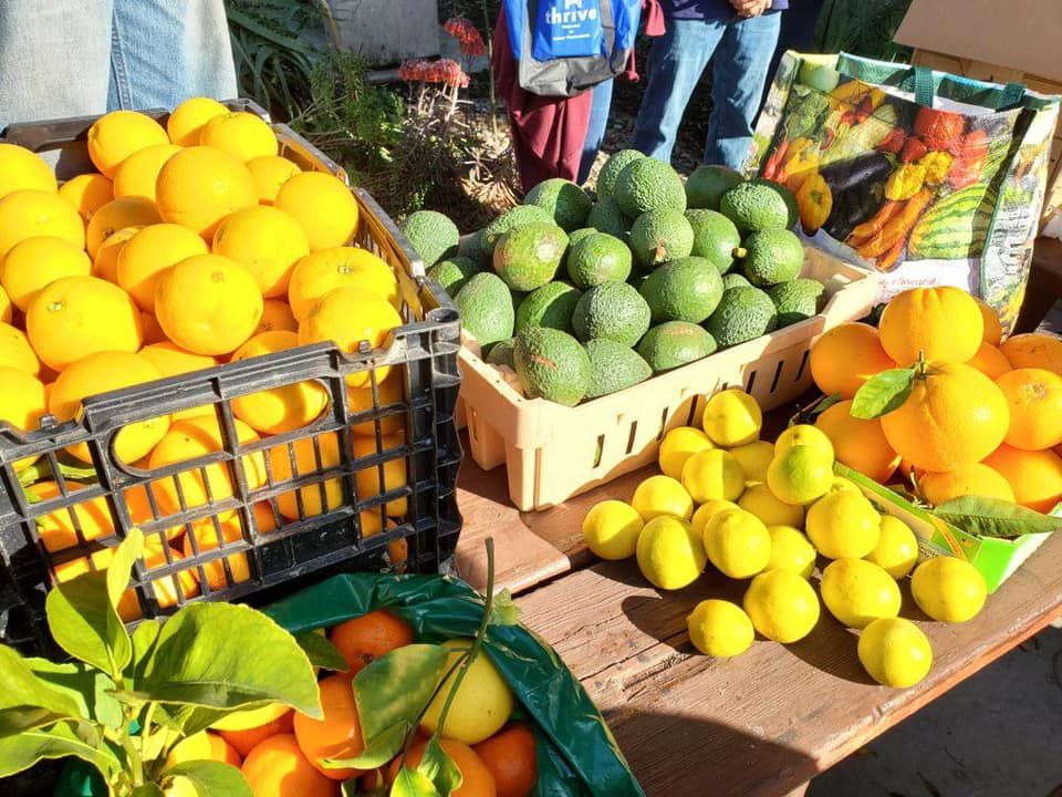 Westside Long Beach Crop Swap 