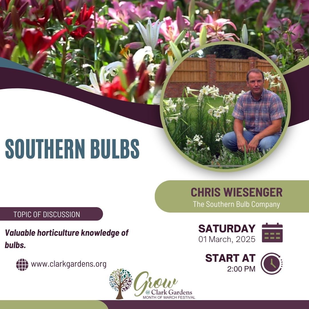 Southern Bulbs - Chris Wiesenger