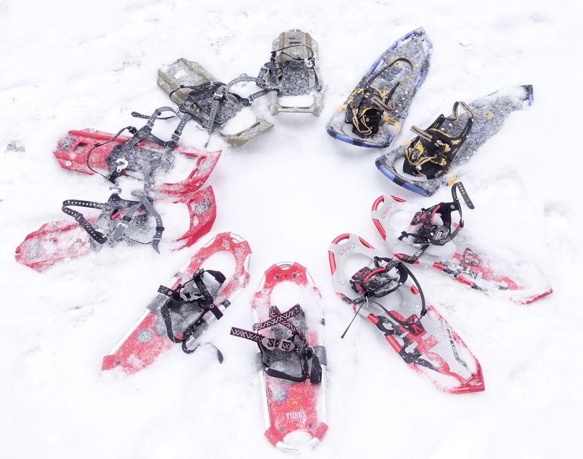 Snowshoe Romp