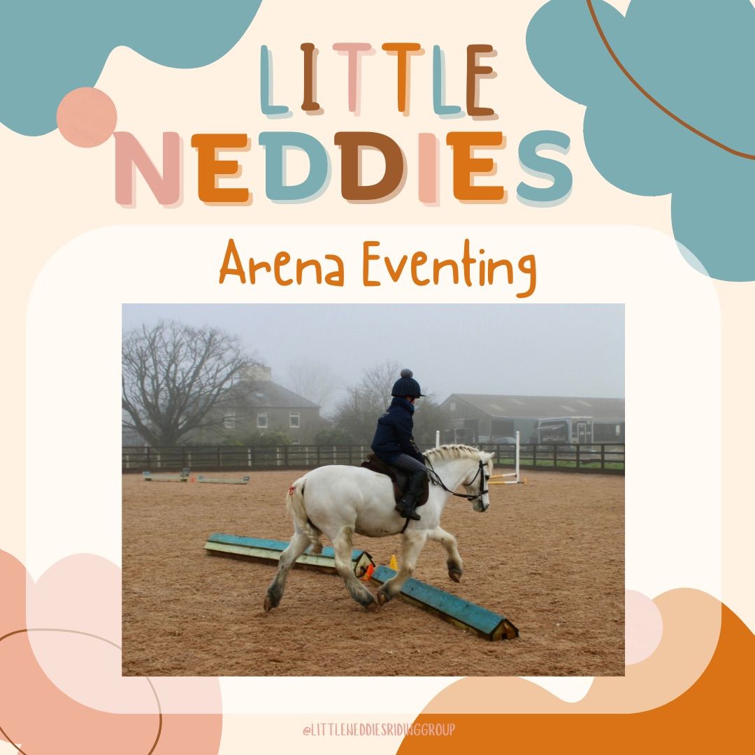 Arena eventing - mini competition 