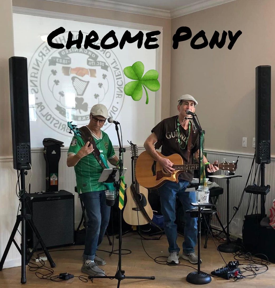 Chrome Pony at the Bristol Hibo