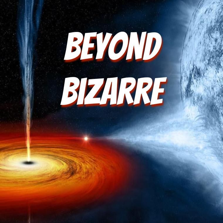 FREE Wonderstruck Wednesday: Beyond Bizarre