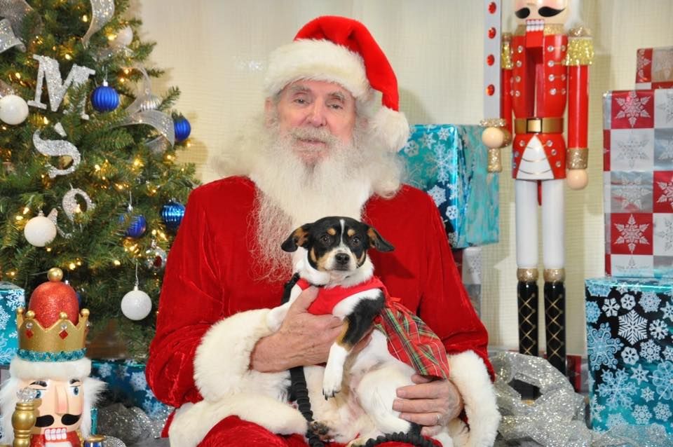 Holiday Pet Photos with Santa