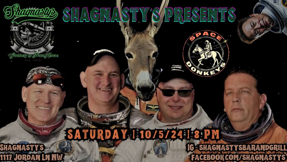 Space Donkeys LIVE@The Shag