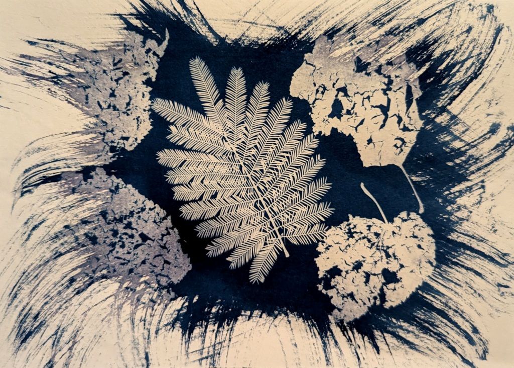 Atelier Cyanotype