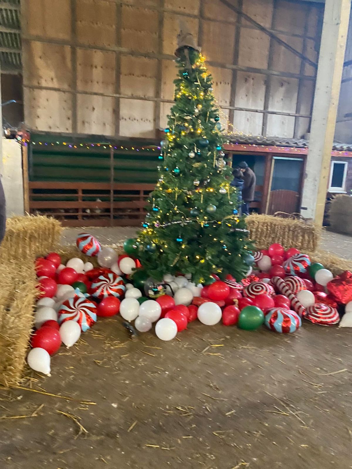 Little Haven Farm Christmas Experience