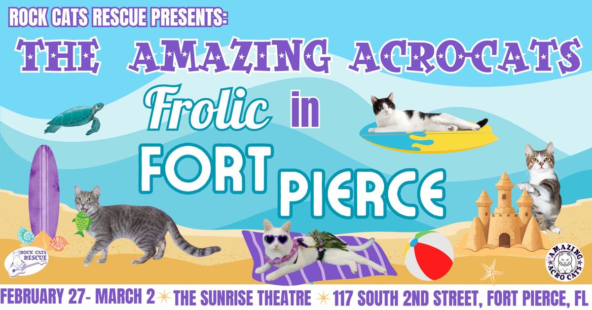 The Amazing Acro-Cats Frolic in Fort Pierce!