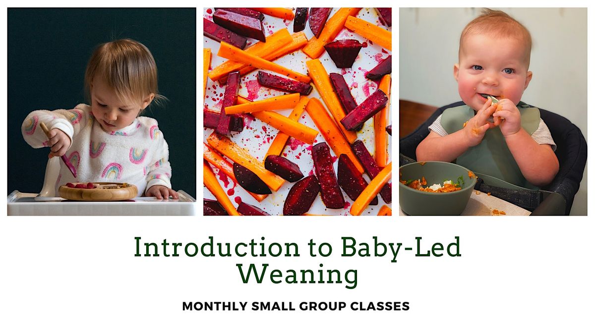 Introduction to Baby-Led Weaning