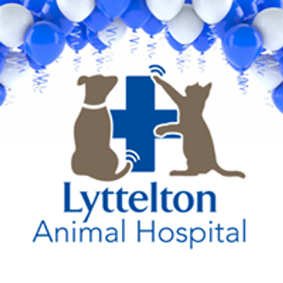Lyttelton Animal Hospital