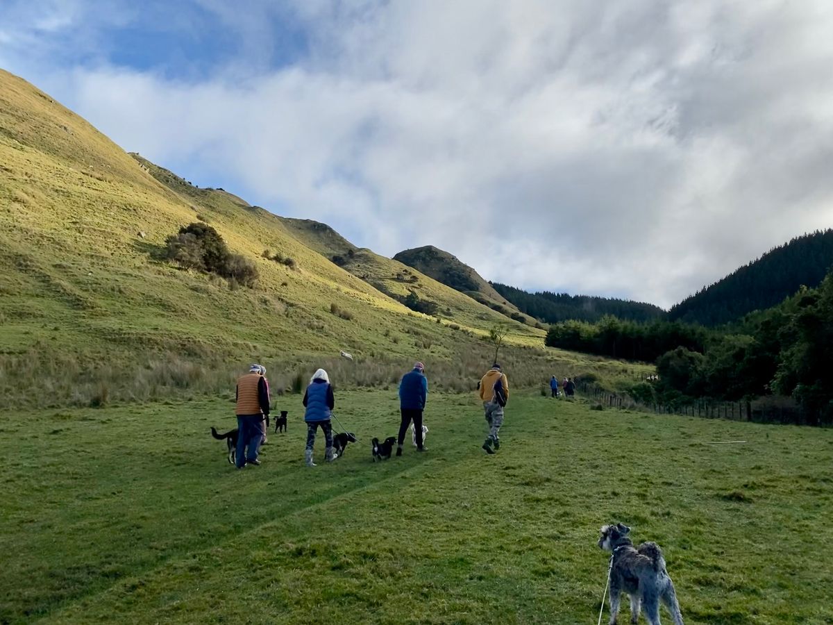 March Dogwalk: Rewanui Bush Park