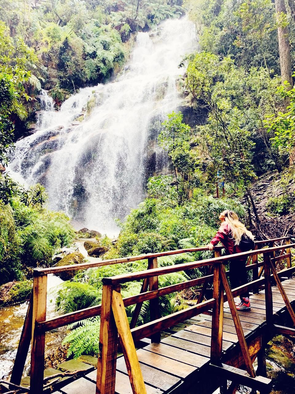 Caminata Quebrada Las Delicias