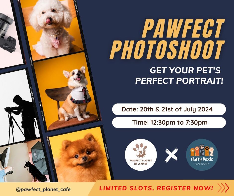 Pawfect Planet Cafe Collaboration Event