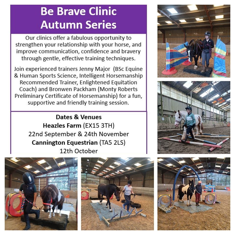 Be Brave Clinic 