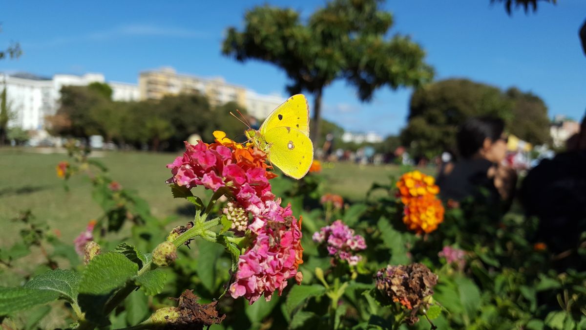 PASSEGGIATA \u201c...E tante persone insieme divennero un parco!\u201d Parco Uditore