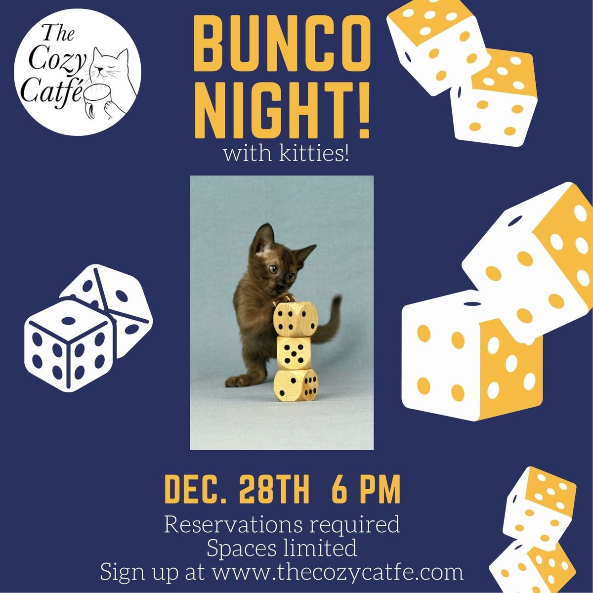 Bunco Night with kitties