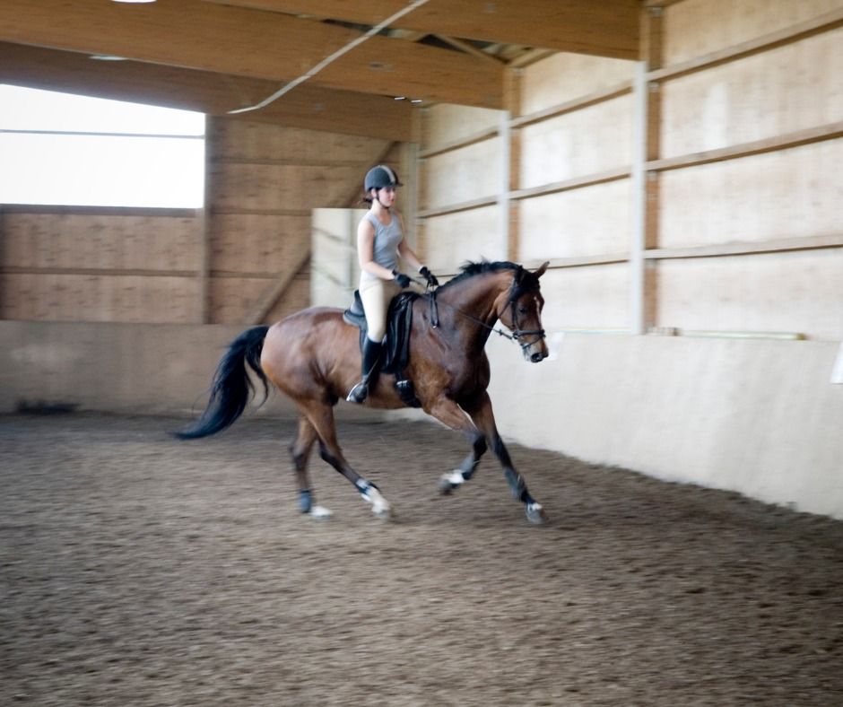 Better Seat Better Canter Workshop 