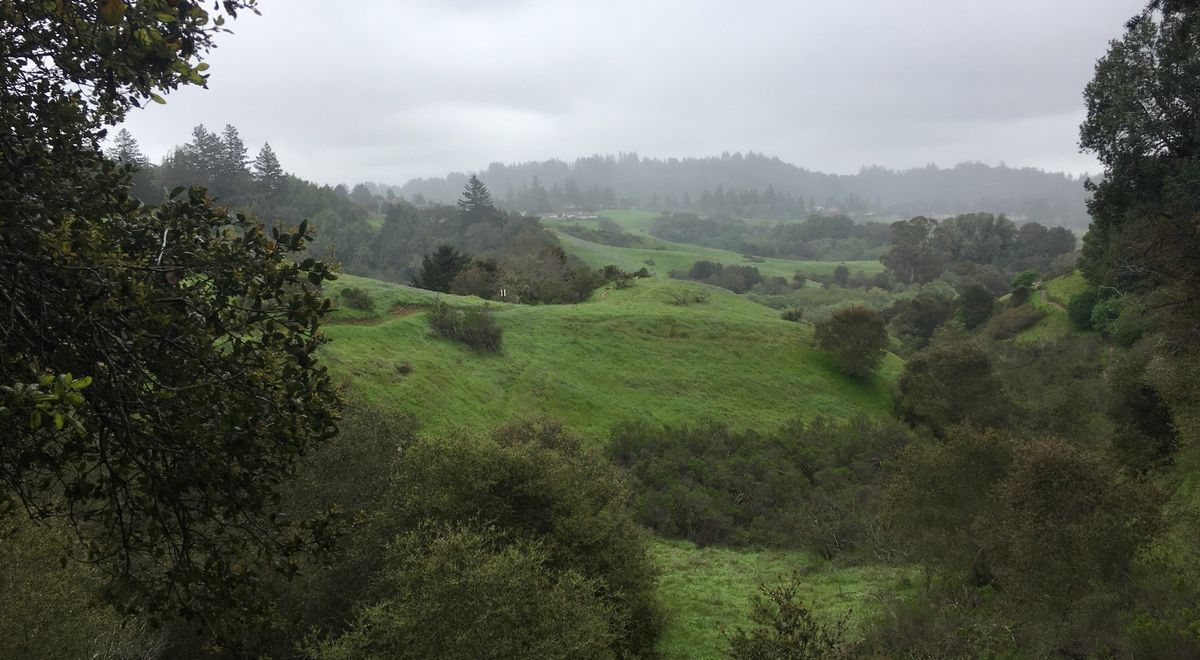 Earth Energy Walk, Jan 18th - East Glenwood Open Space Preserve