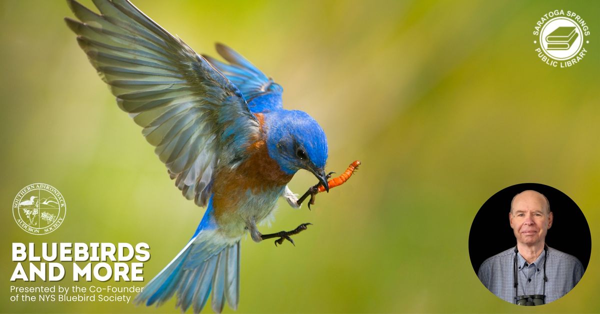 Bluebirds and More Presented by the Co-Founder of the NYS Bluebird Society