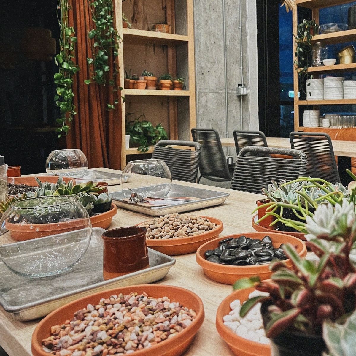 Succulent Terrarium Workshop