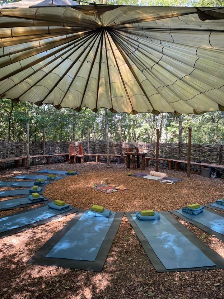 Woodland Yoga