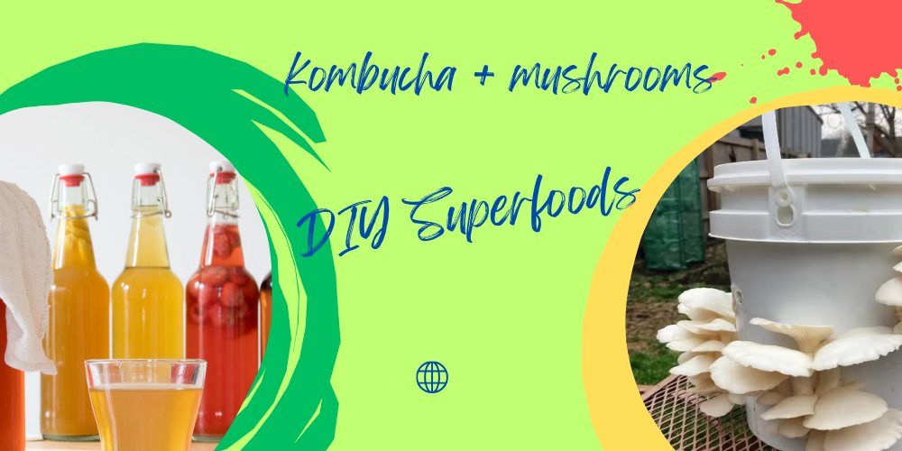 DIY Superfoods Workshop: Kombucha and Mushrooms