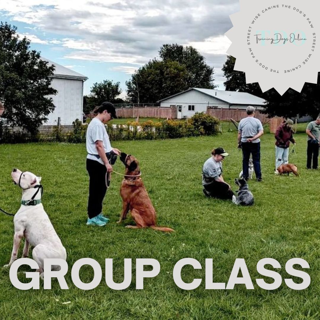 Group Class - Drop-In