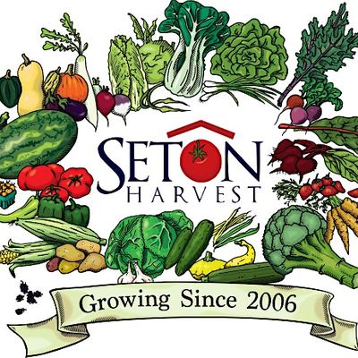 Seton Harvest