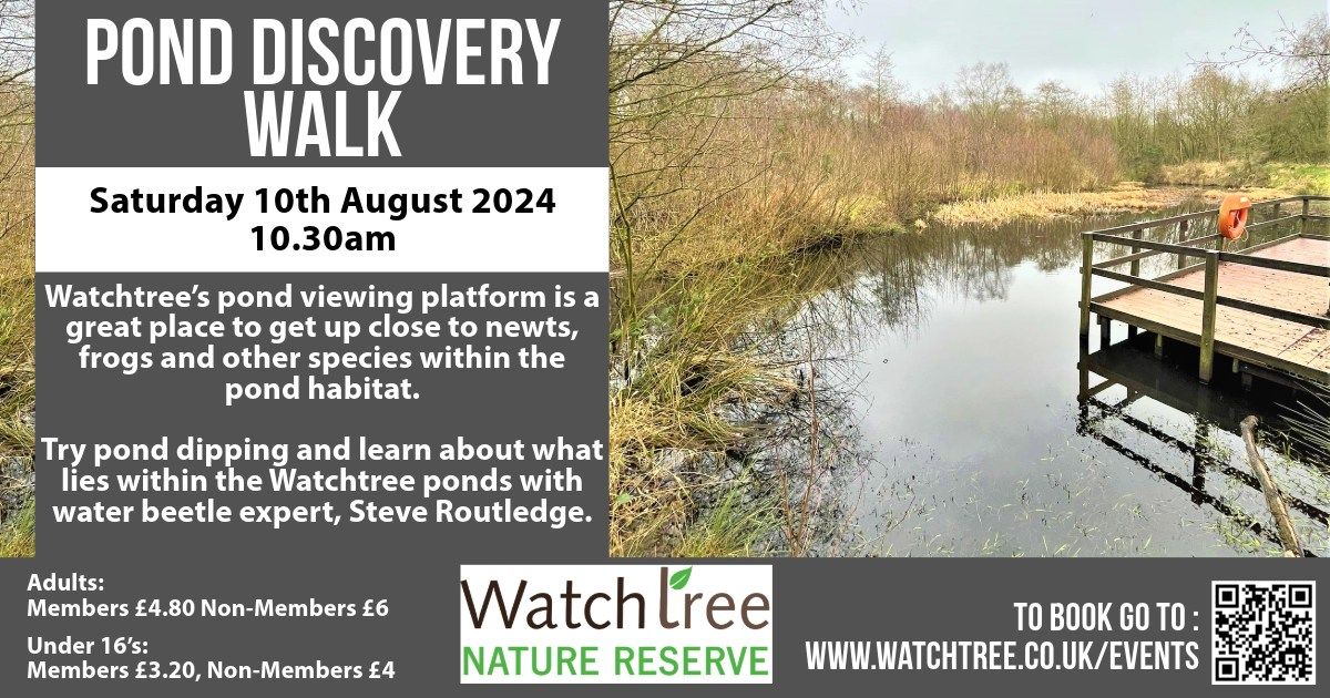 Pond Discovery with Steve Routledge 2024