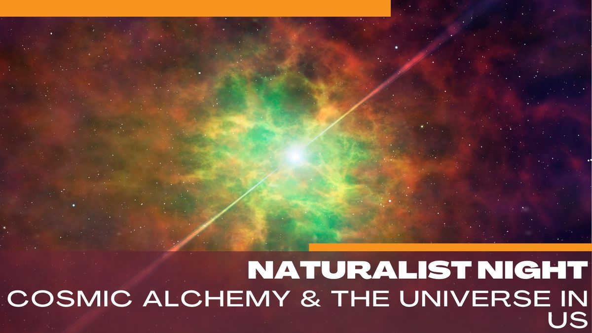 Naturalist Night: Cosmic Alchemy & the Universe in Us