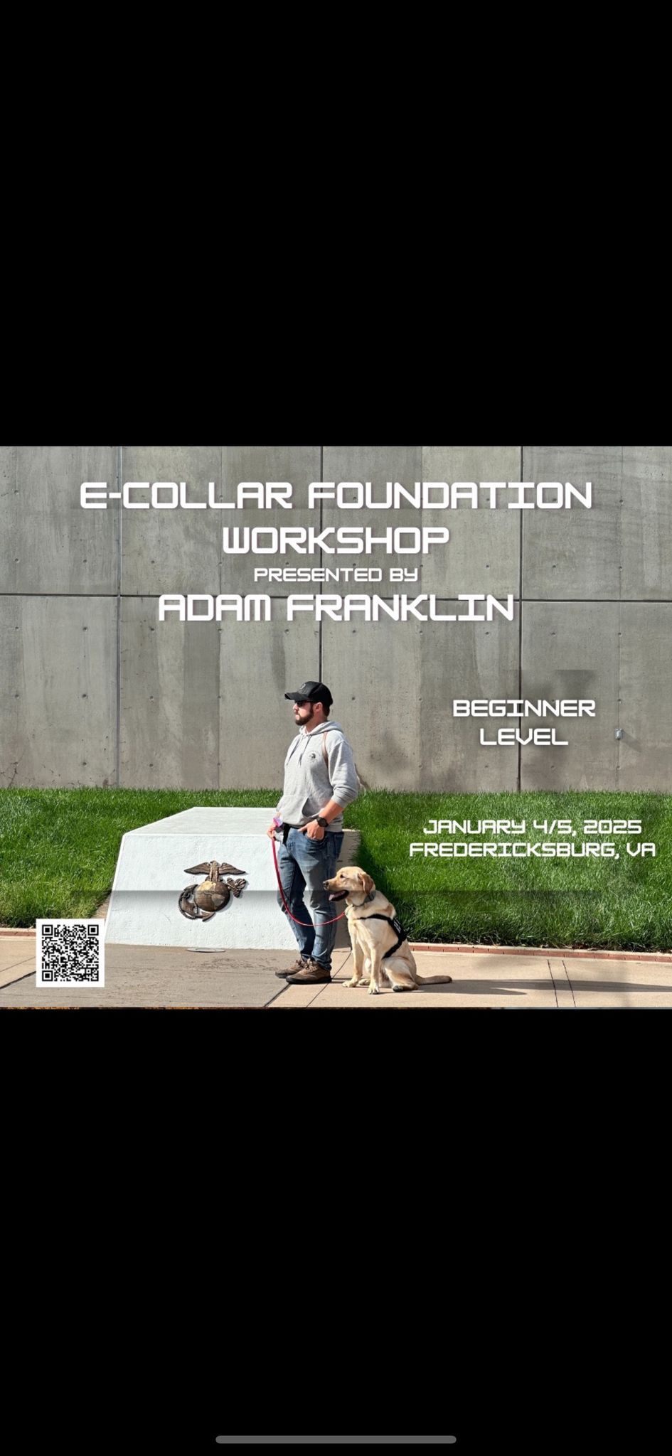 E-Collar Foundation Workshop