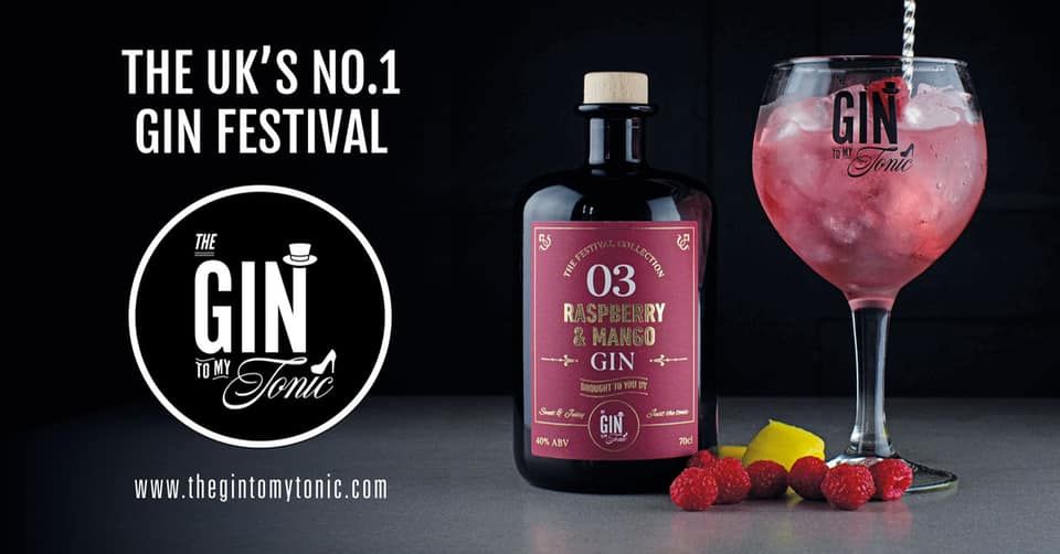 The Gin To My Tonic Gin, Rum & Vodka Festival Truro 2024