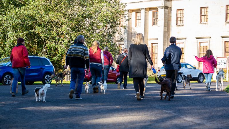 October FREE Pack Walk