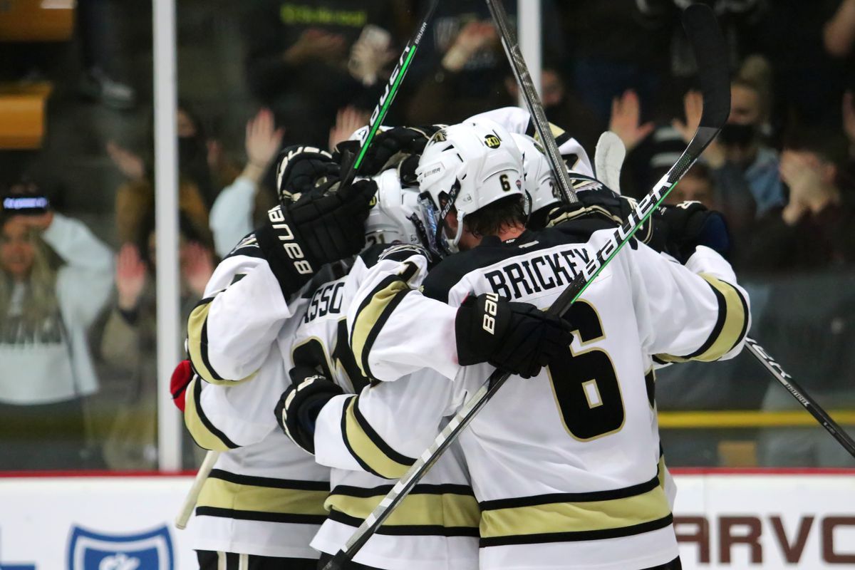 Ferris State Bulldogs at Western Michigan Broncos Mens Hockey