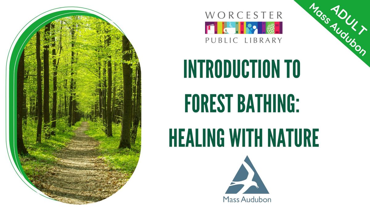 Introduction to Forest Bathing: Healing with Nature