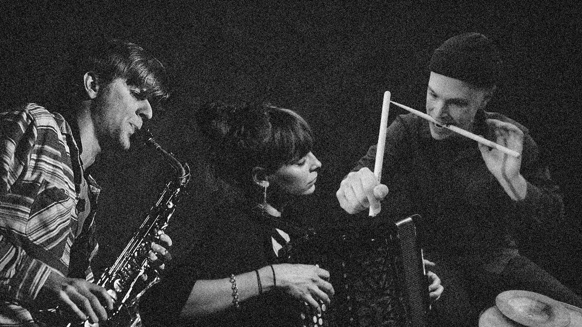 Zimmermann, Corsano & Pitsiokos