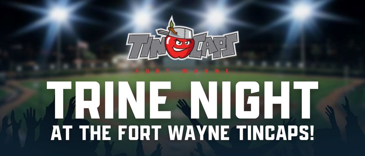 Fort Wayne TinCaps at South Bend Cubs