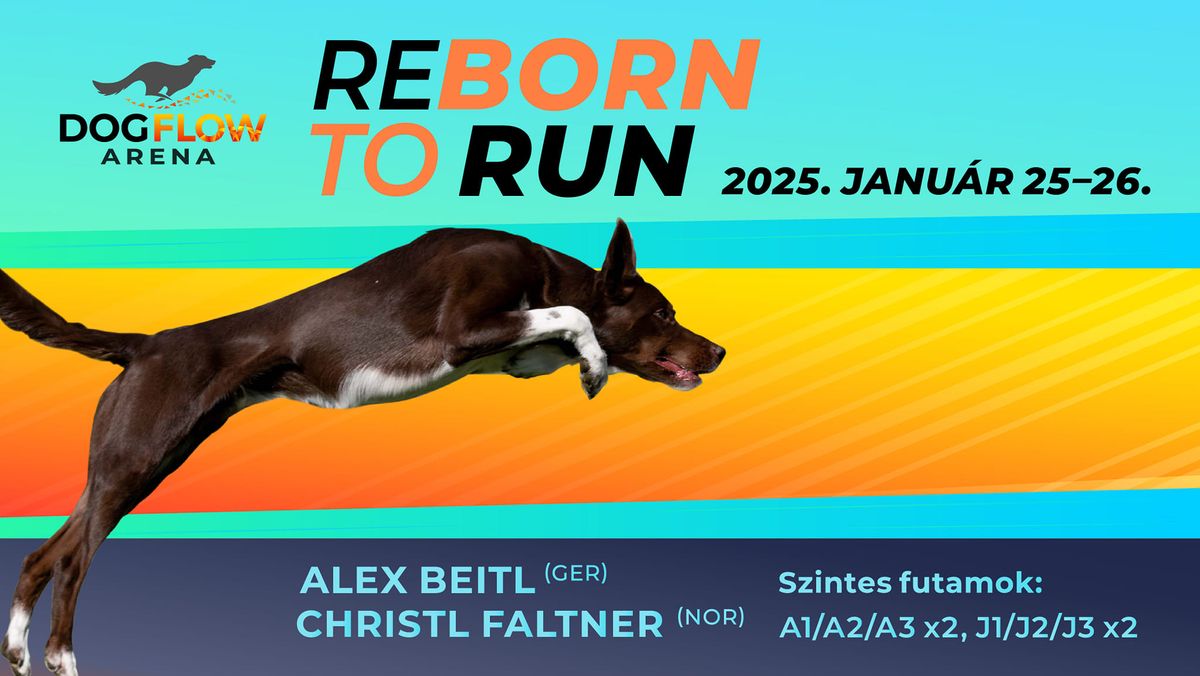 ReBorn to Run 2025