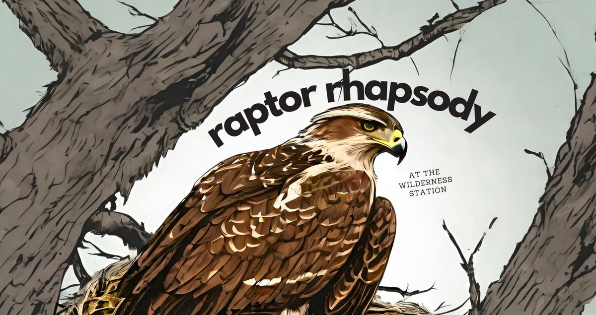 Raptor Rhapsody at the Wilderness Station