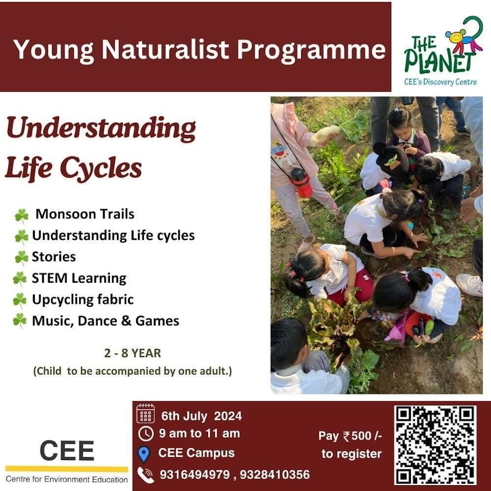 Understanding LIFE CYCLES: fun learning for toddlers