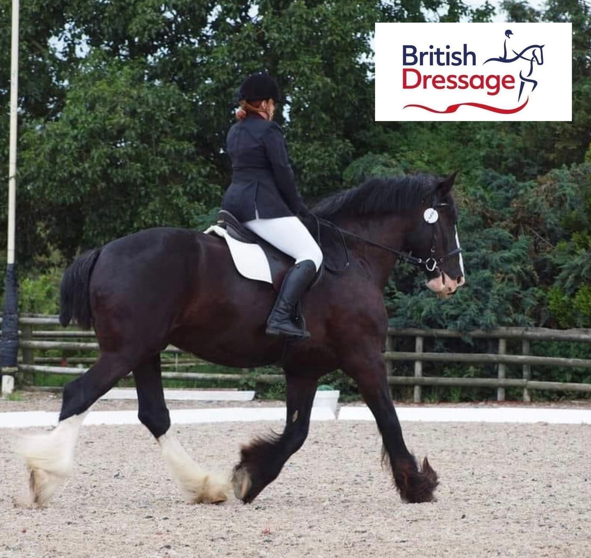 British Dressage - Hargate Equestrian 