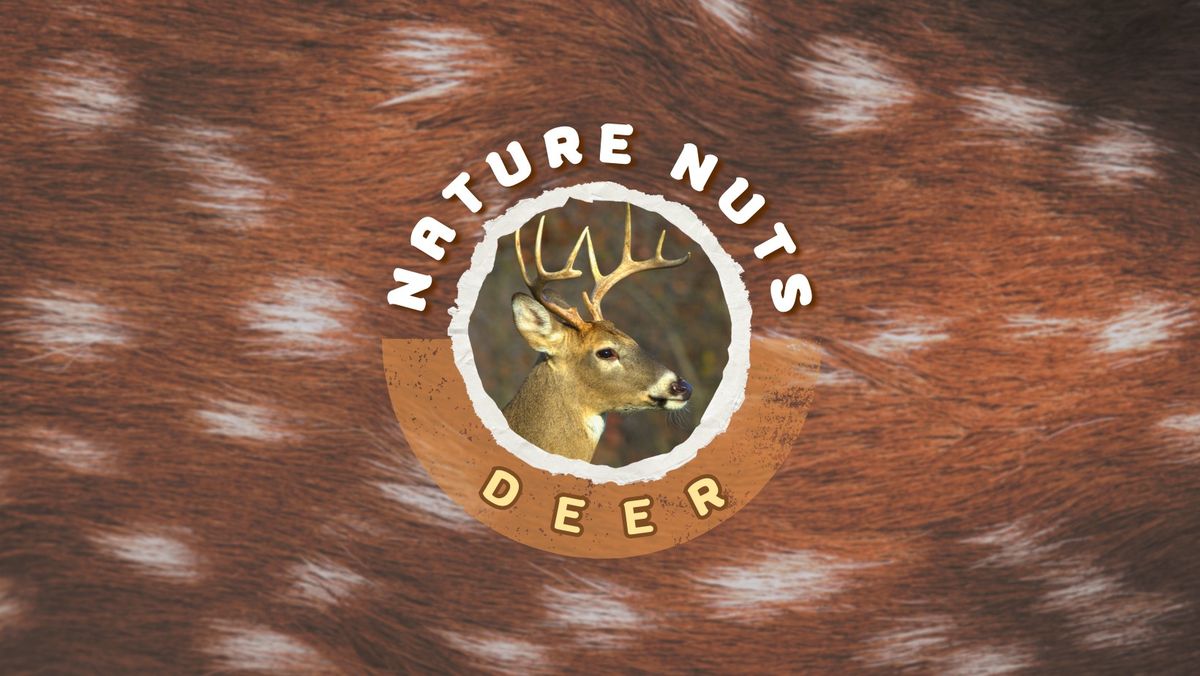 Nature Nuts: Deer